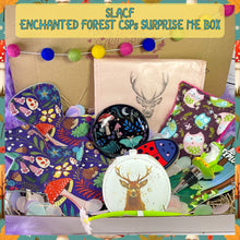 Load image into Gallery viewer, ENCHANTED FOREST CSPs Surprise Me Box