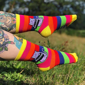 Bellend Rainbow Socks - Sweary Cat Socks -Katie Abey Socks - Funny Socks