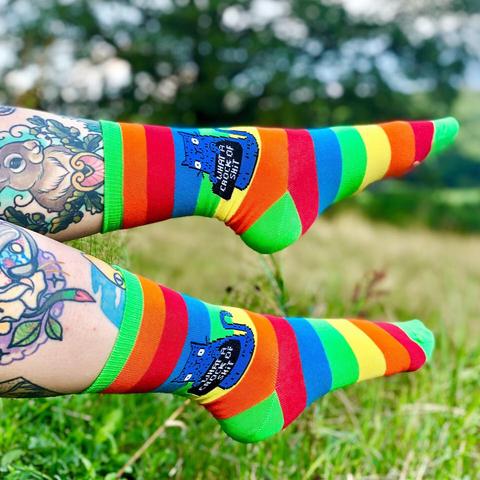 What A Crock Of Shit Rainbow Socks - Sweary Cat Socks - Blue Cat - Katie Abey Socks - Funny Socks
